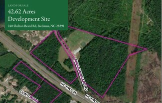 Plus de détails pour 240 Shelton Beard Rd, Stedman, NC - Terrain à vendre