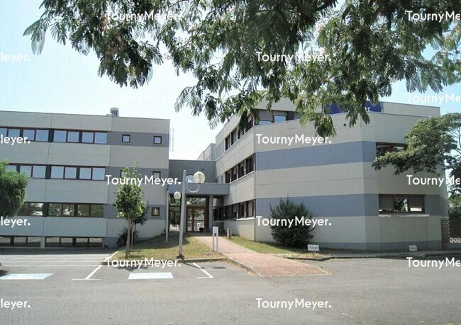 Plus de détails pour 35 Avenue De L'Escadrille Normandie-Niemen, Blagnac - Bureau à louer