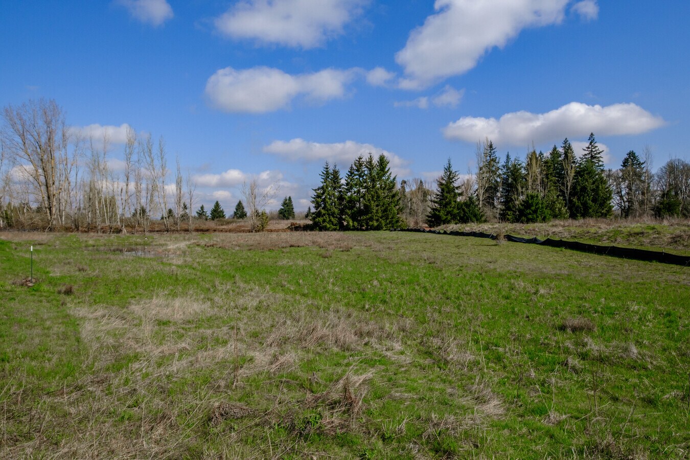 View Photo