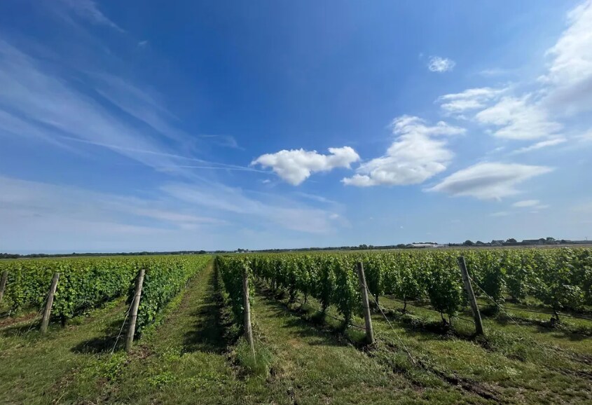 6094 Sound Ave, Jamesport, NY à vendre Photo principale– Image 1 sur 5