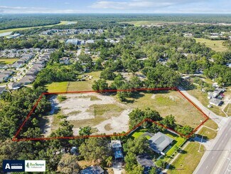 Plus de détails pour 11102 N US Highway 301, Thonotosassa, FL - Terrain à vendre
