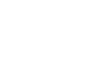 Royal American Management Inc