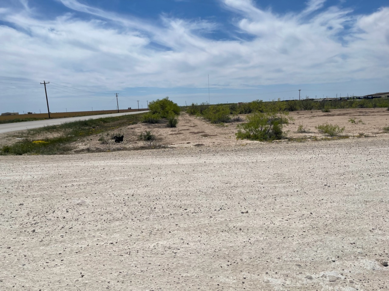 8575 State 137 hwy, Big Lake, TX à vendre Photo principale– Image 1 sur 5