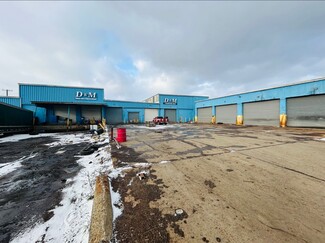 Plus de détails pour 6100 Linsdale St, Detroit, MI - Industriel/Logistique à vendre