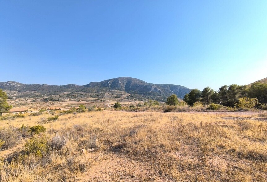 Terrain dans Algueña, Alicante à vendre - Photo principale – Image 1 sur 4