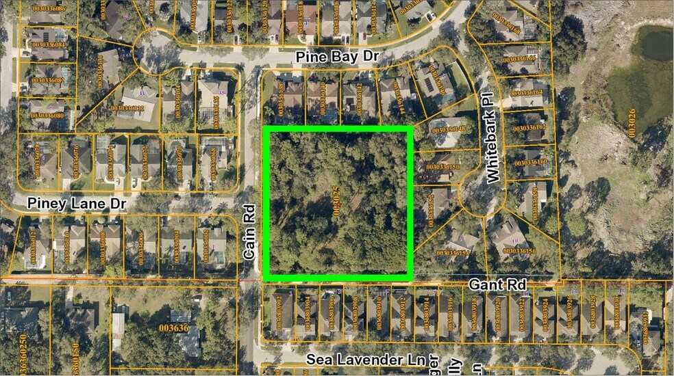 6501 Gant Rd, Tampa, FL à vendre - Aérien – Image 3 sur 25
