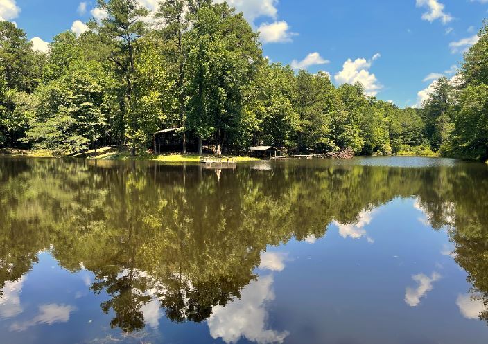 17796 Dry Branch loop, Northport, AL à vendre - Autre – Image 2 sur 86