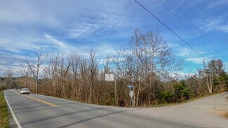 Plus de détails pour Snyder Road and Jones Drive Rd, Kodak, TN - Terrain à vendre