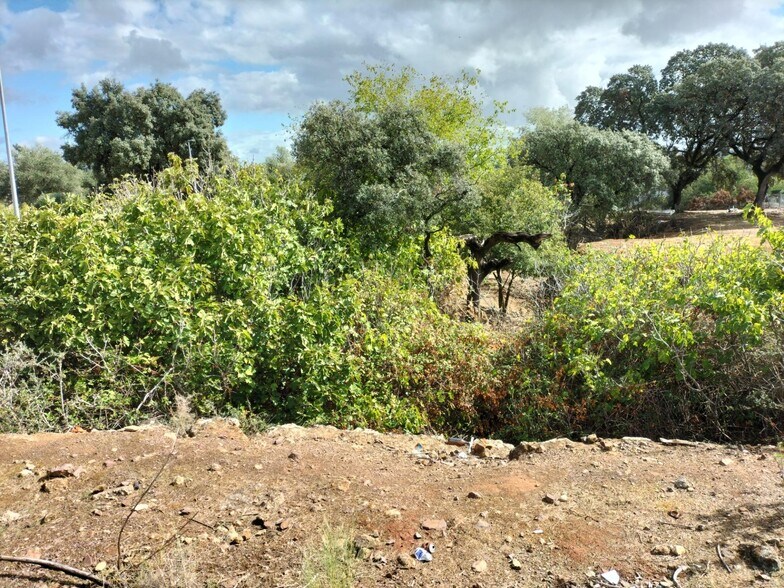 Terrain dans Córdoba, Córdoba à vendre - Photo de l’immeuble – Image 2 sur 16