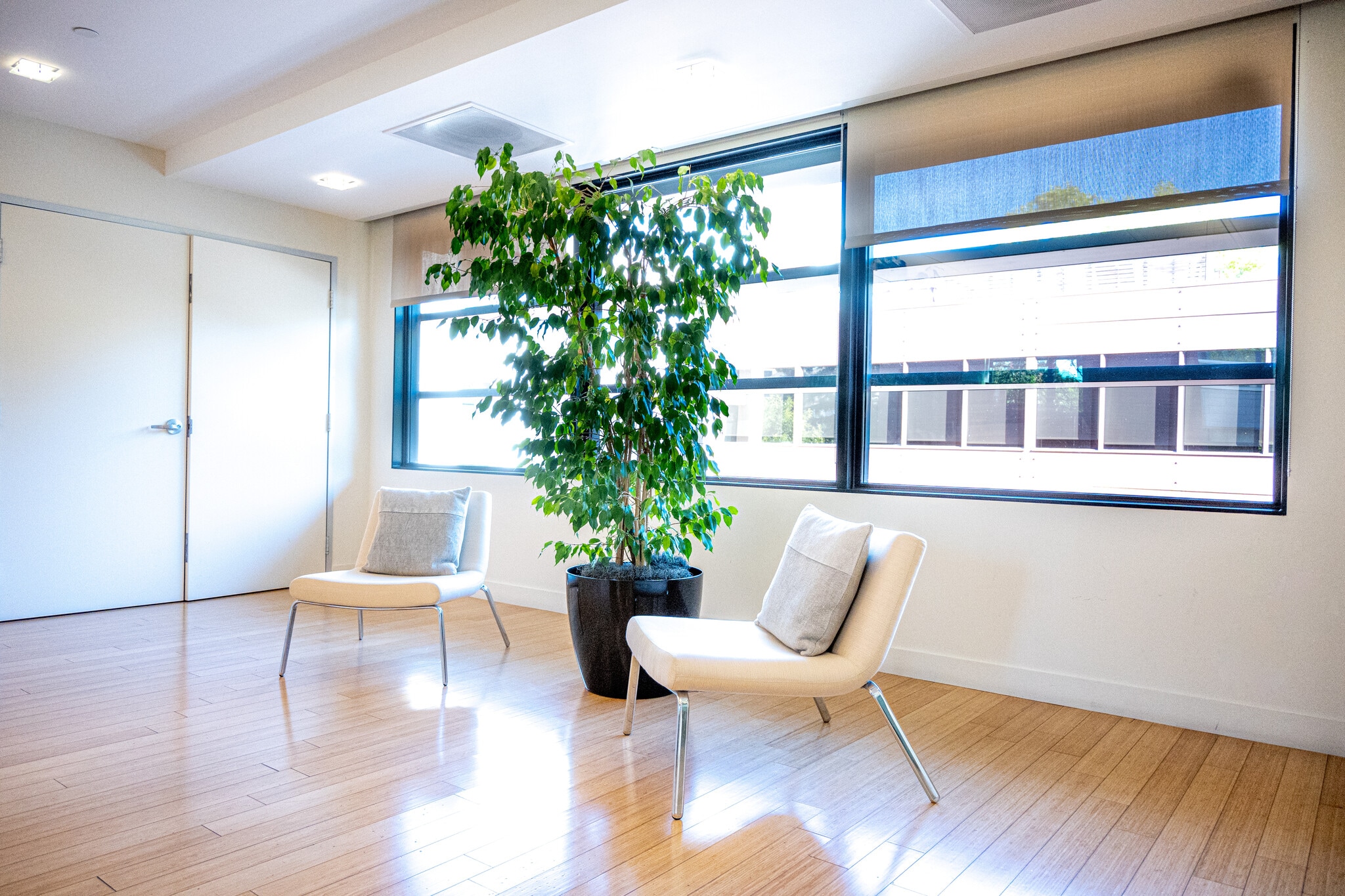 335 Bryant St, Palo Alto, CA à louer Photo intérieure– Image 1 sur 7