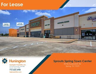 Plus de détails pour 20706-20710 Kuykendahl Blvd, Spring, TX - Local commercial à louer