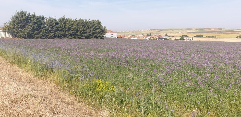 Terrain dans Cabrerizos, Salamanca à louer - Photo principale – Image 1 sur 12