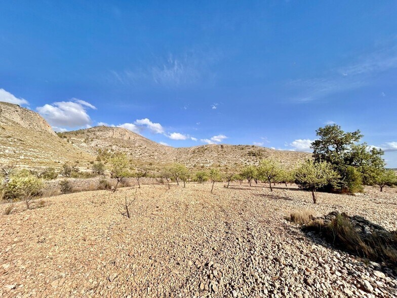 Terrain dans Orihuela, Alicante à vendre - Aérien – Image 3 sur 4