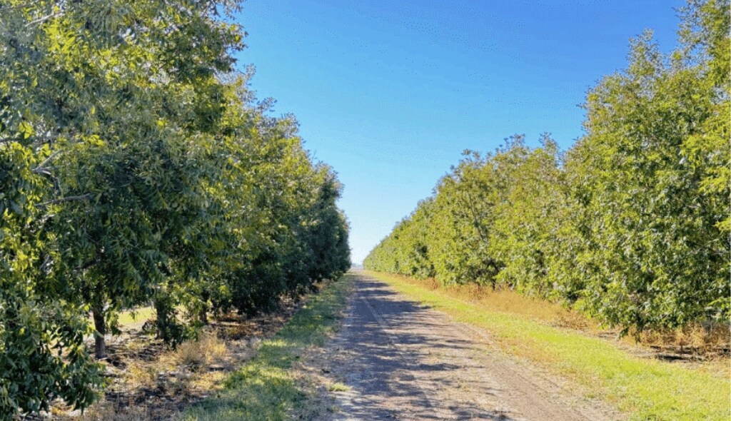 Mimbres Valley Development, Deming, NM à vendre Photo principale– Image 1 sur 2