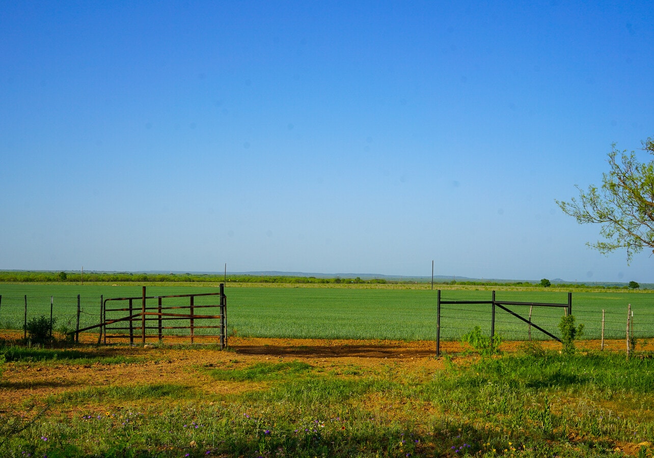 View Photo