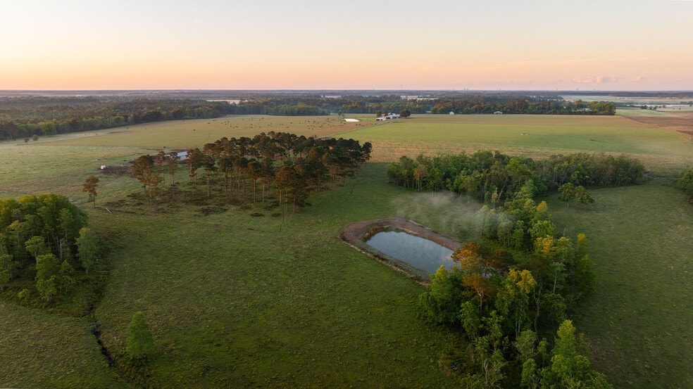 24795 County Road 32, Elberta, AL à vendre - Aérien – Image 3 sur 13