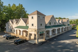 Plus de détails pour 979-987 Route 22, Brewster Village, NY - Bureau/Médical à louer