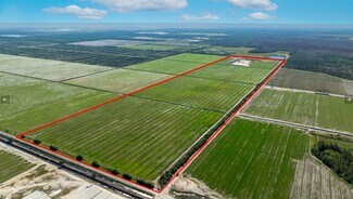 Plus de détails pour 43521 Neal rd, Punta Gorda, FL - Terrain à vendre