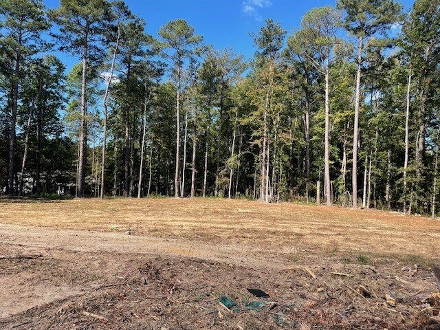 7377 Strickland St, Douglasville, GA à vendre - Photo de l’immeuble – Image 2 sur 6