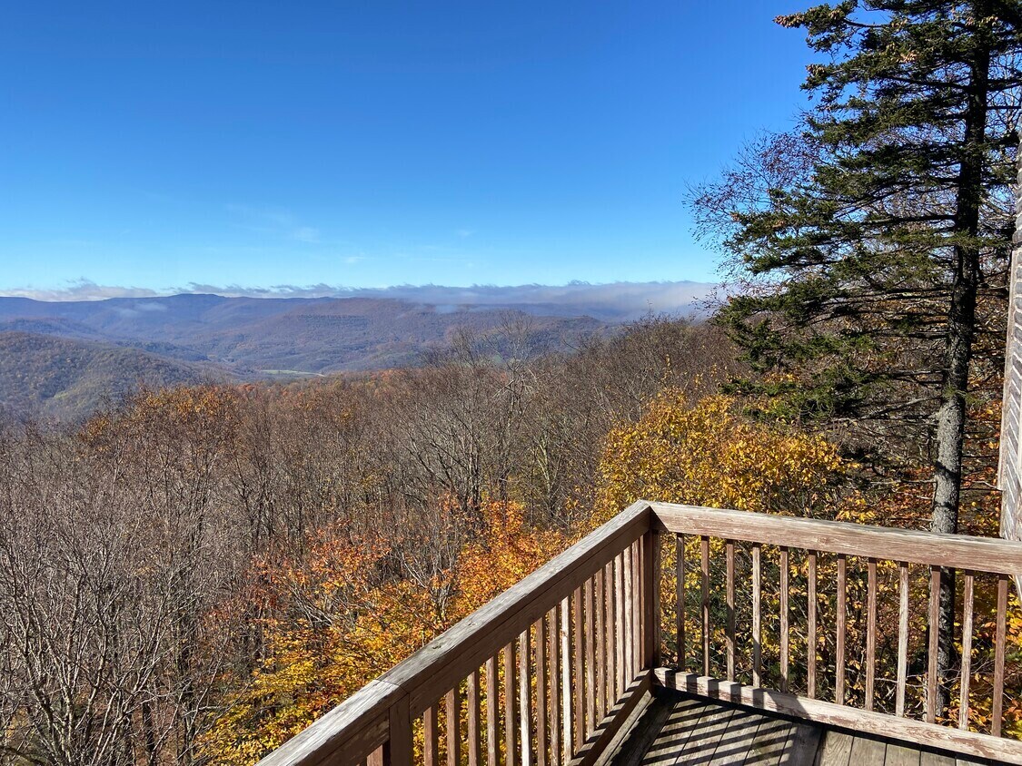 View Photo