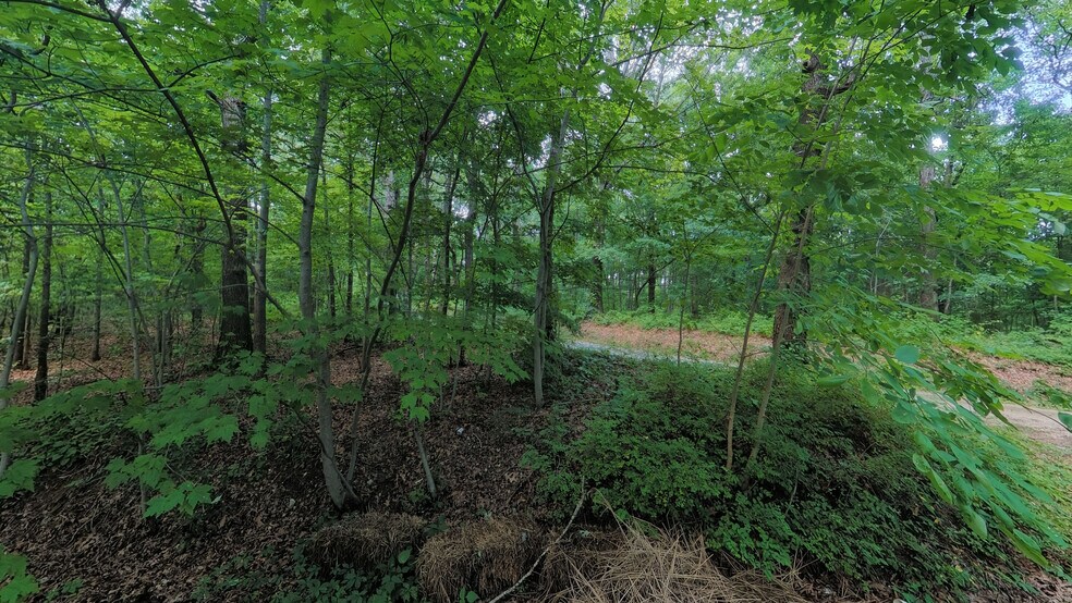 457 Pitcher Rd S, Morgantown, KY à vendre - Photo de l’immeuble – Image 3 sur 24