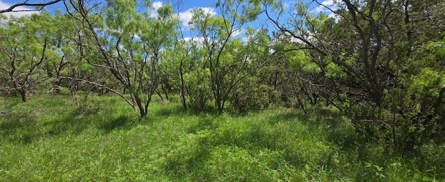 TBD CR 1190, Blackwell, TX à vendre - Photo de l’immeuble – Image 3 sur 7