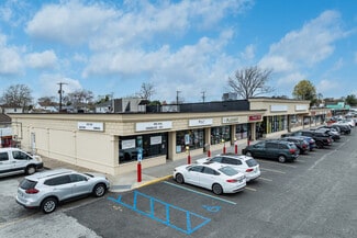 Plus de détails pour 4222-4258 Hicksville Rd, Bethpage, NY - Bureau/Local commercial, Local commercial à louer