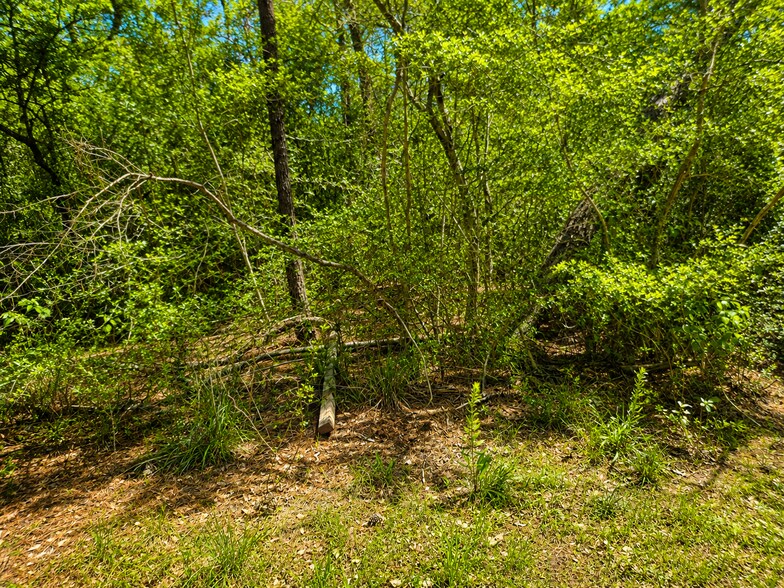 9102 Blue Lake dr, Plantersville, TX à vendre - Photo de l’immeuble – Image 3 sur 4