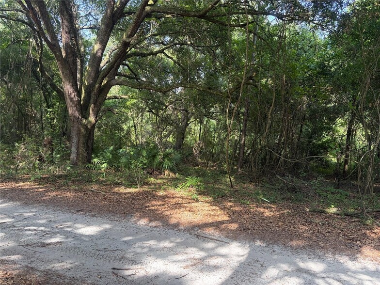County Road 738, Webster, FL à vendre - Autre – Image 2 sur 2