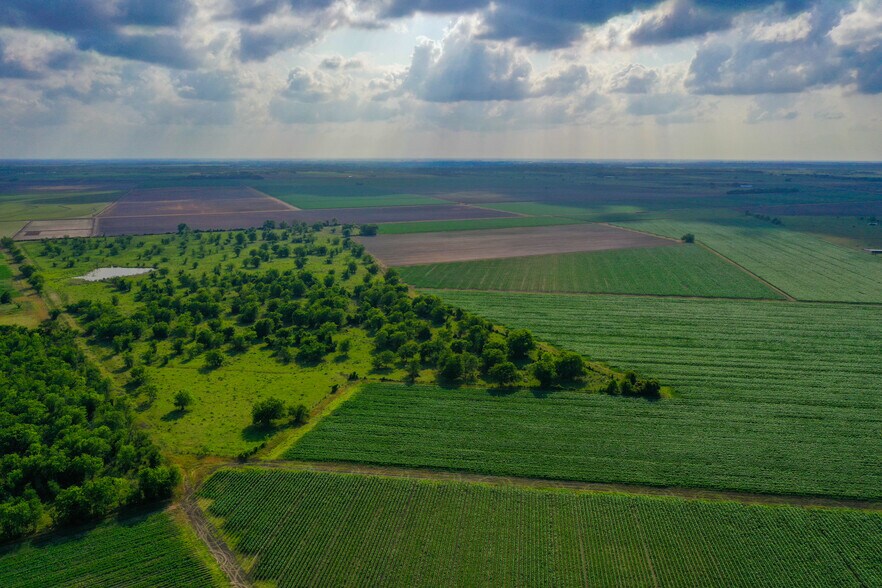 000 Koym Road, Beasley, TX à vendre - Photo de l’immeuble – Image 3 sur 20