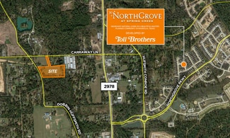 Plus de détails pour 27350 Dobbin Huffsmith Rd, Magnolia, TX - Terrain à louer