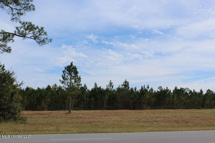 3.5 Acres Tucker Rd, Vancleave, MS à vendre - Autre – Image 3 sur 7