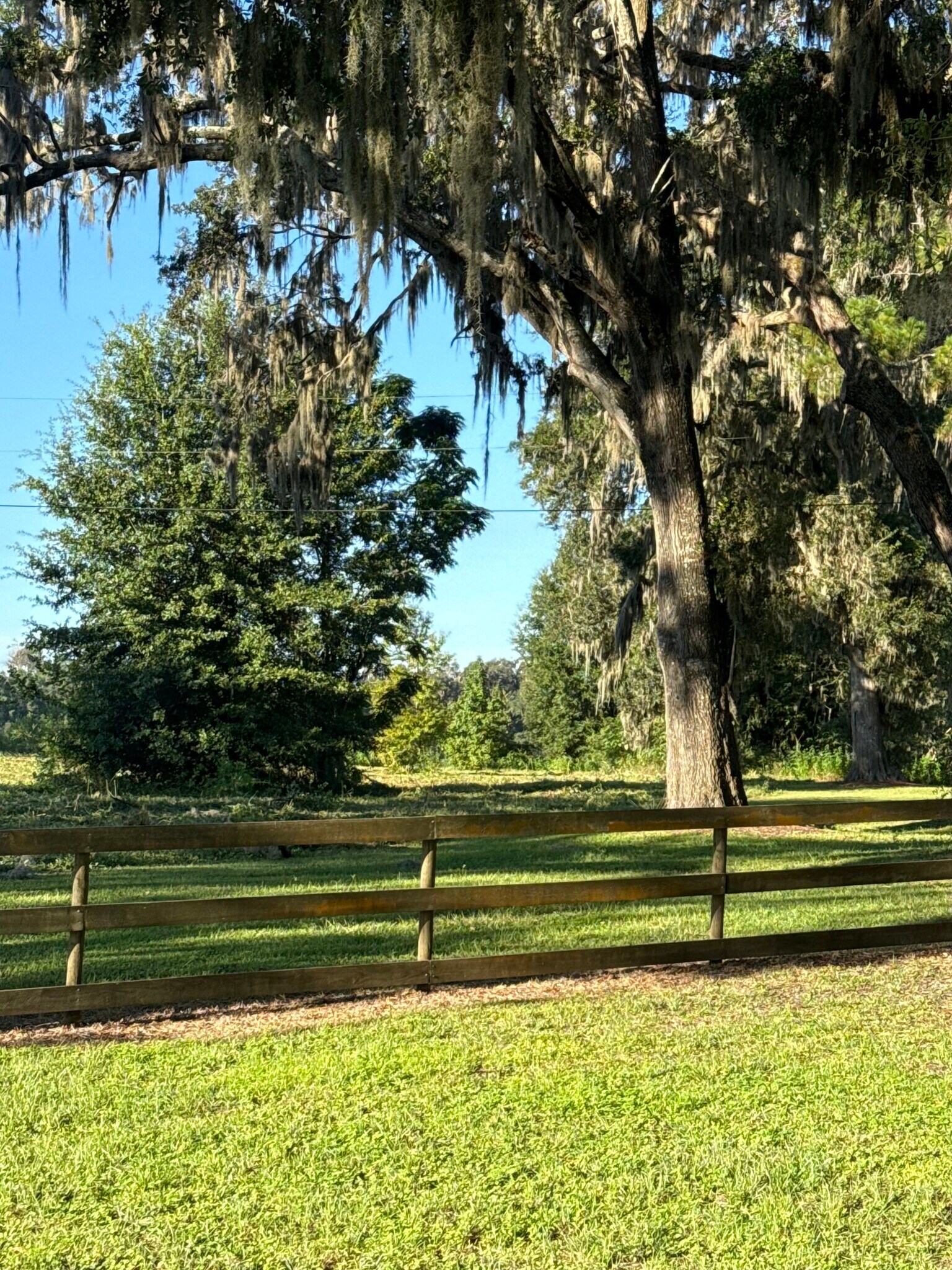 12142 County 484 Hwy, Belleview, FL à louer Photo principale– Image 1 sur 3