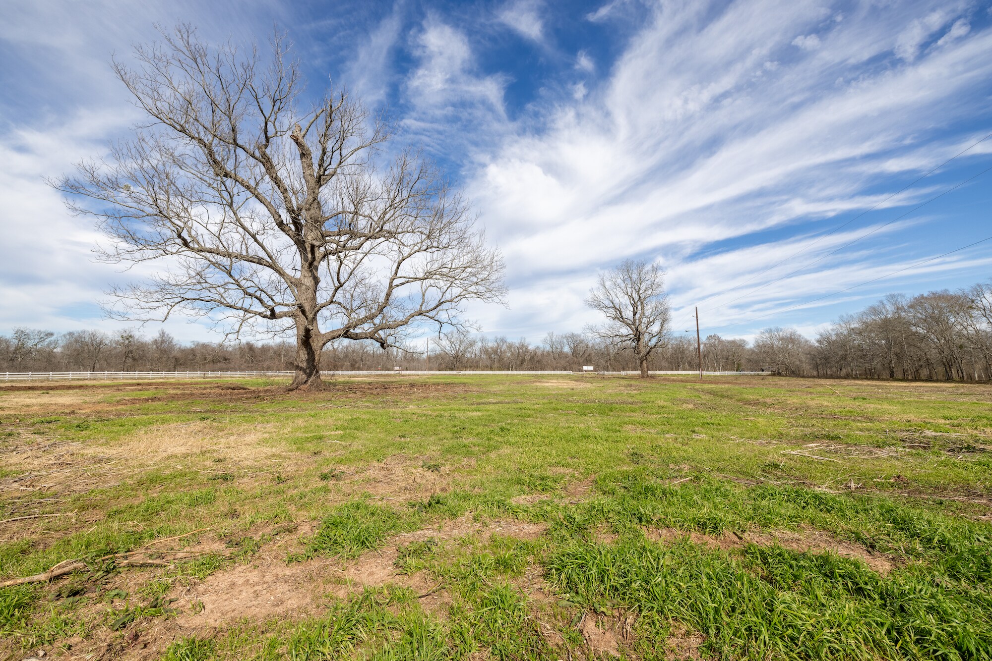 33715 Farm to Market Road 1093, Fulshear, TX à vendre Photo principale– Image 1 sur 18