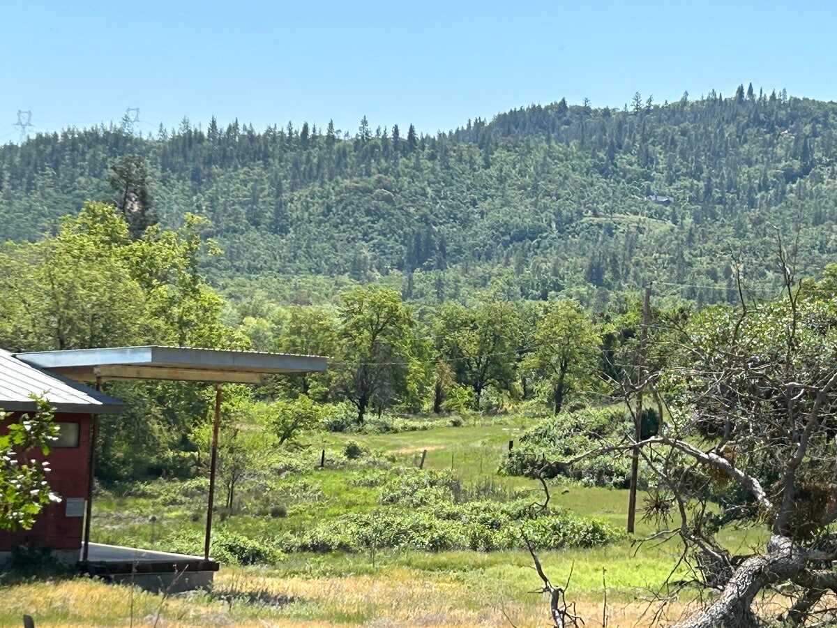 View Photo