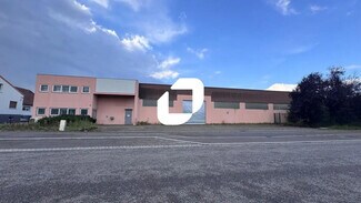 Plus de détails pour 29 Rue Saint Exupéry, Haguenau - Bureau, Local d'activités à louer