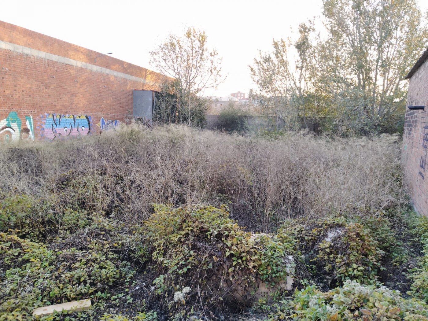 Terrain dans Igualada, Barcelona à louer Autre– Image 1 sur 4
