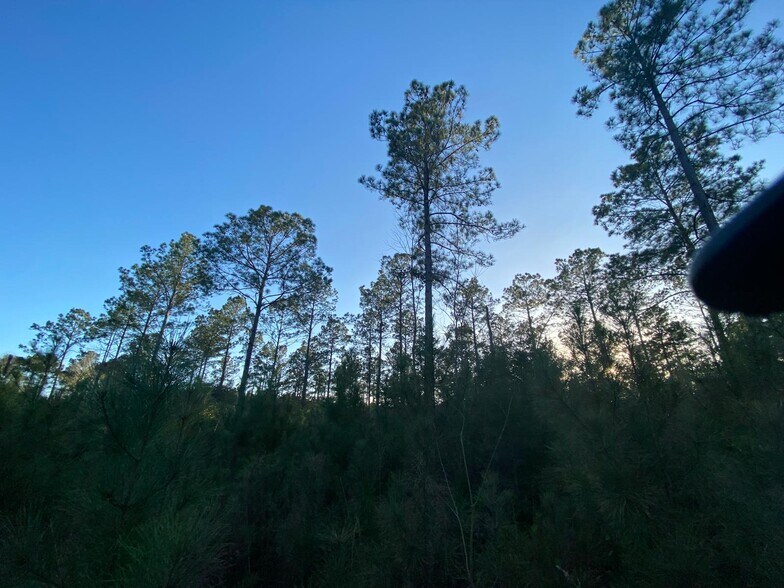 395 Nettles rd, Livingston, TX à vendre - Photo de l’immeuble – Image 2 sur 7