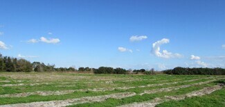 Plus de détails pour 0 Chalet Suzzane Rd, Lake Wales, FL - Terrain à vendre