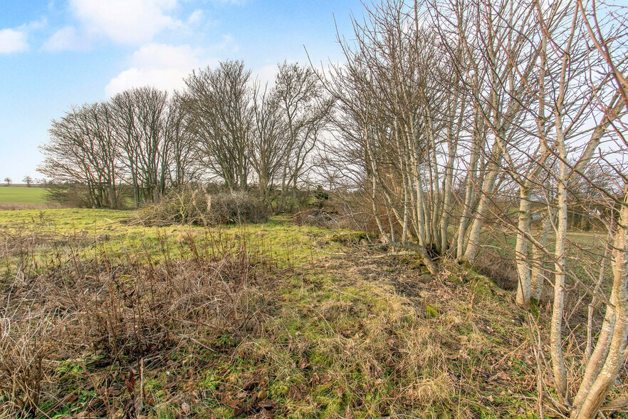 Rossie Braes, Montrose à vendre - Photo de l’immeuble – Image 2 sur 4