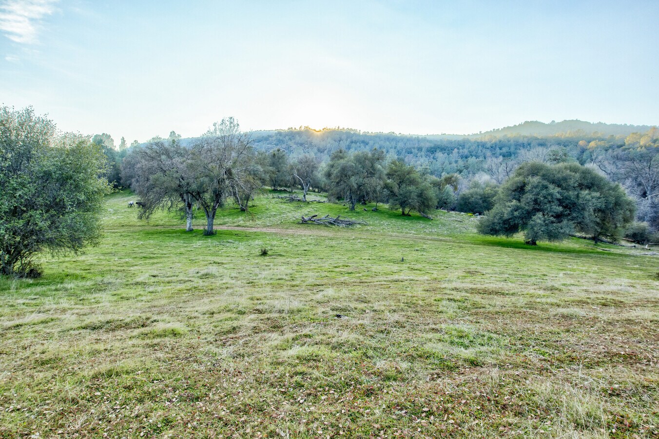 View Photo