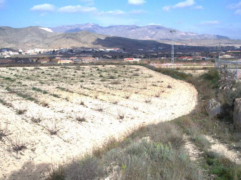 Terrain dans Hondón de los Frailes, Alicante à vendre Plan de site– Image 1 sur 4