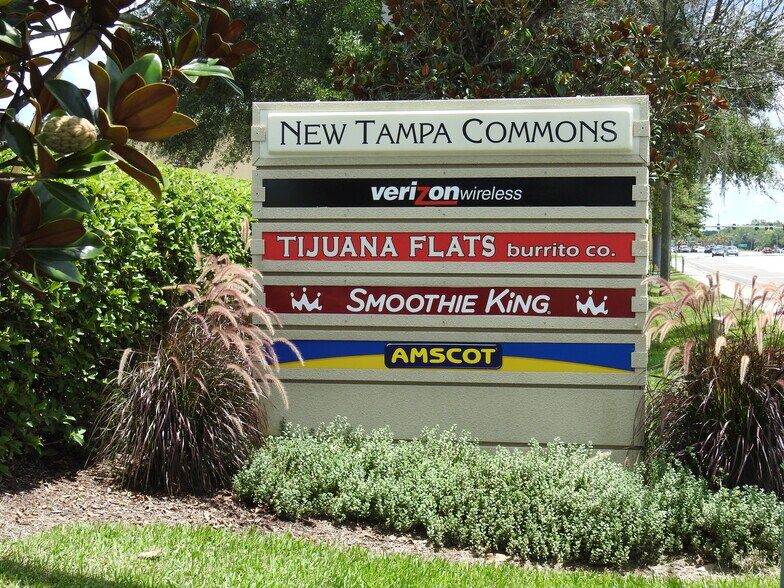 17501 Preserve Walk Ln, Tampa, FL à louer - Photo de l’immeuble – Image 3 sur 12