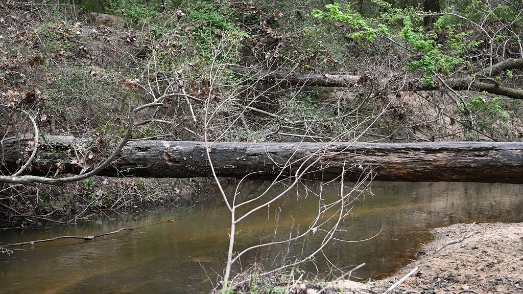View Photo
