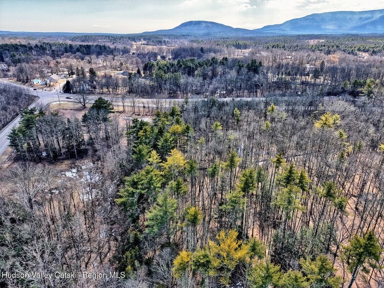 7719 NY-32, Cairo, NY à vendre - Aérien – Image 2 sur 41