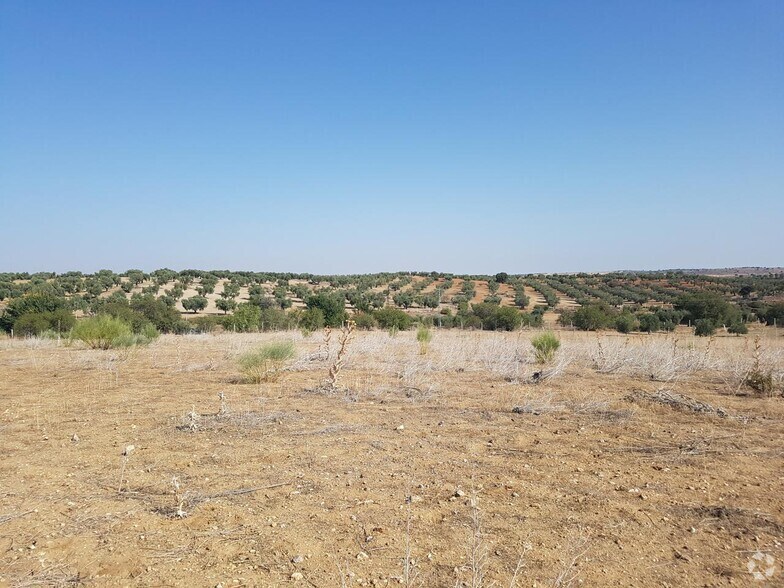 Terrain dans Guadamur, Toledo à vendre - Photo principale – Image 1 sur 3