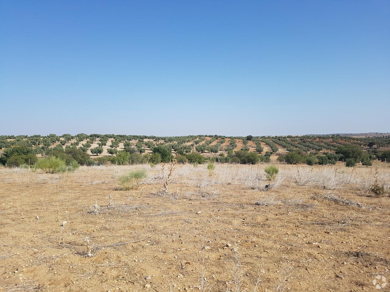 Terrain dans Guadamur, Toledo à vendre Photo principale– Image 1 sur 4