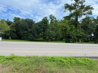 Plus de détails pour 17262 US-90, Des Allemands, LA - Terrain à vendre
