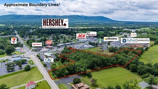 Plus de détails pour TBD Stuarts Draft hwy, Stuarts Draft, VA - Terrain à vendre