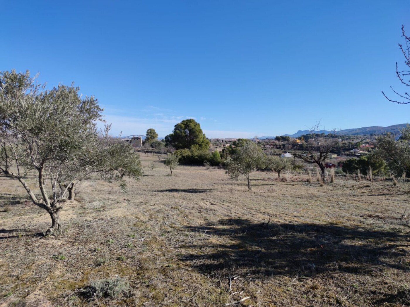 Terrain dans Ontinyent, Valencia à vendre Photo principale– Image 1 sur 14